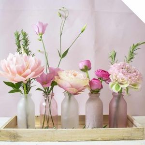 Meet your Posher, Liz